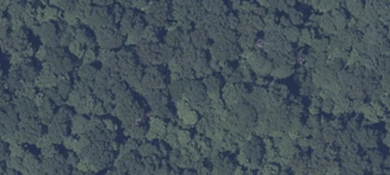 Wooded Residential Building Lot