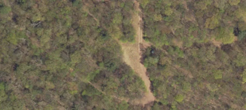 Wooded Hunting and Recreation Land