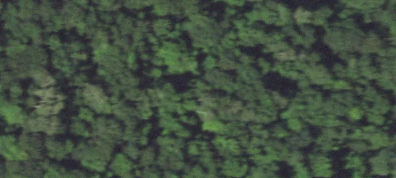 Versatile Farmland and Woods Acreage