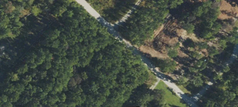 Wooded Residential Land Lot