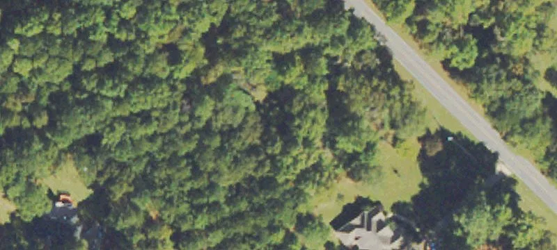 Wooded Residential Home Lot