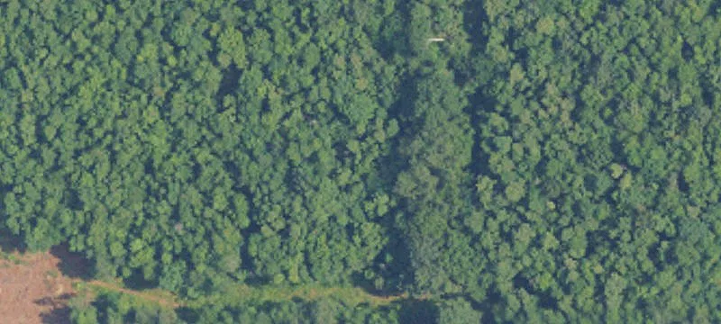 Farmland Tract with Creek Access