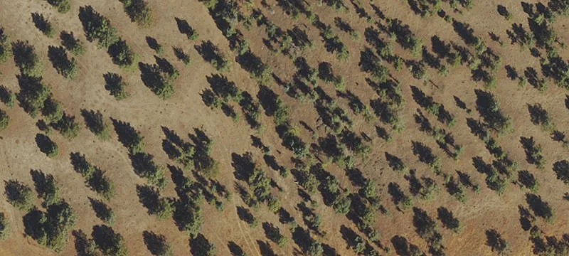 Mountain View Homesite with Utilities