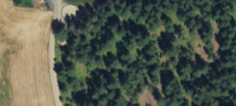 Pastureland with Creek Access