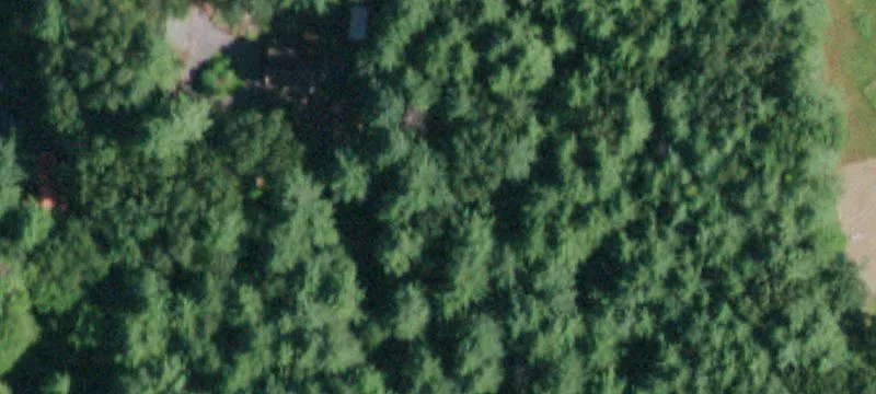 Treed Residential Building Lot