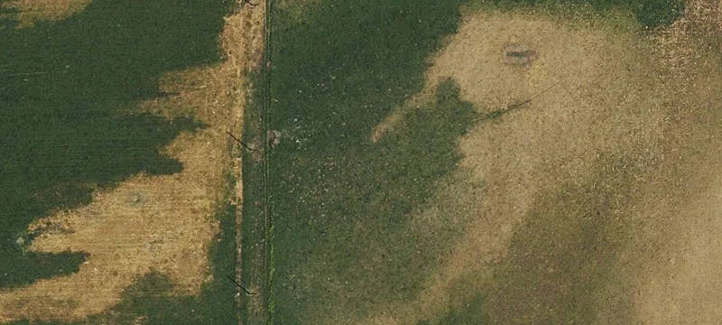 Irrigated Farmland Along Highway