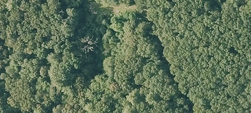 Equestrian Estate Land