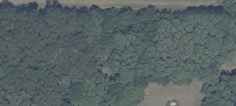 Wooded Residential Home Lot