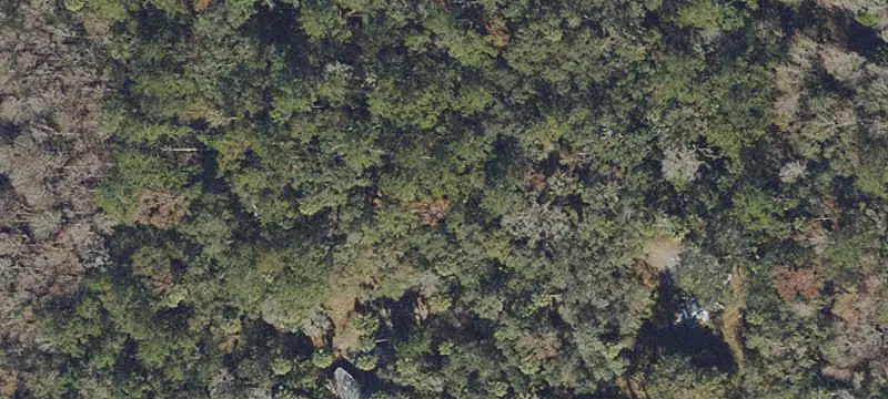 Residential Land Lot in Growing Area