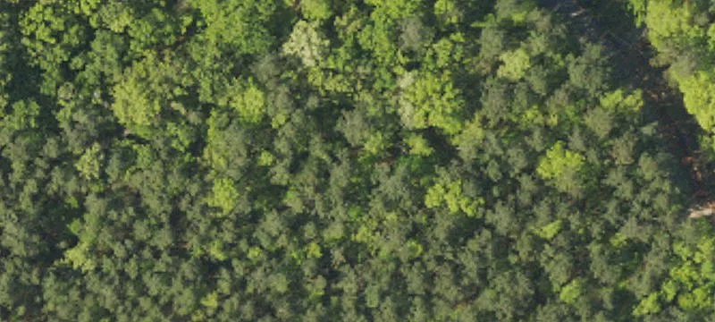 Wooded Residential Land Tract