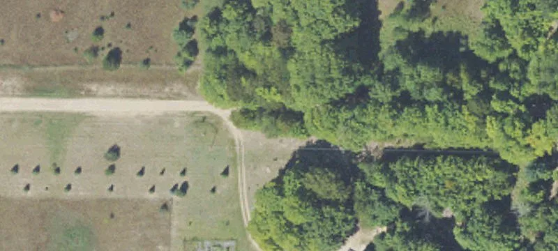 Wooded Land with Pole Building