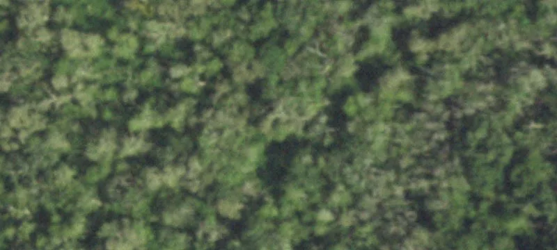 Waterfront Land Lot