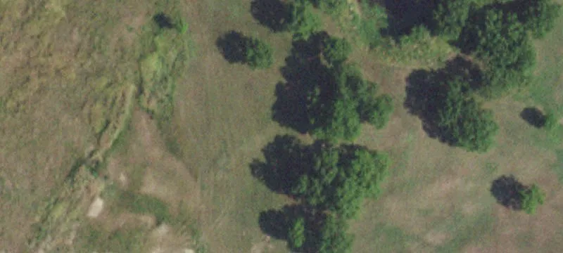 Fully Fenced Hunting Land Tract