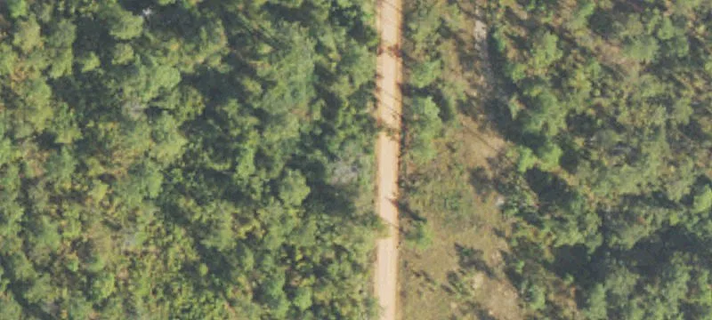 Recreational Hunting Land with Road Frontage