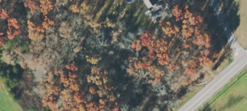 Land Parcel with Tiny Home