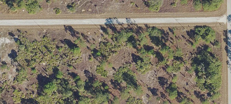 Side-by-Side Vacant Home Lots