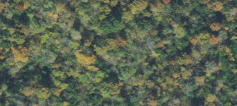 Private Farm Acreage