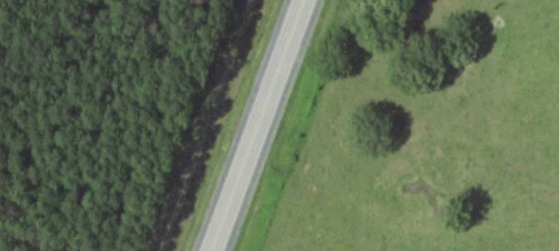 Horse Farm with Pasture and Trails
