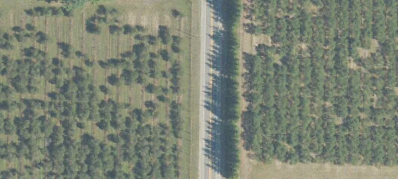 Wooded Acreage Corner-Lot Land