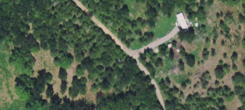 Wooded Hunting Land Tract