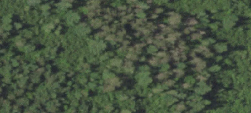 Hunting Land Parcel with Drilled Well