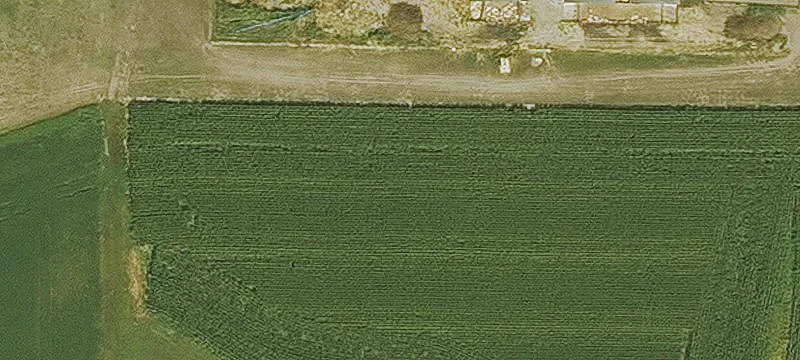 Working Farm with Livestock Facilities