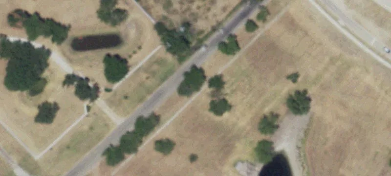 Fenced Rolling Ag Land with Timber
