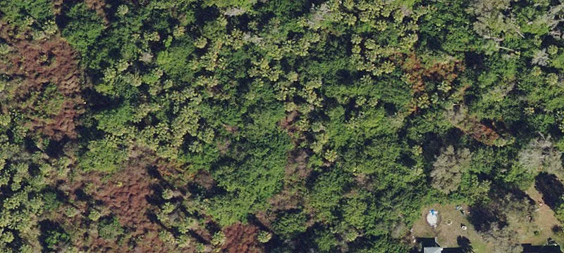 Estate Home Site