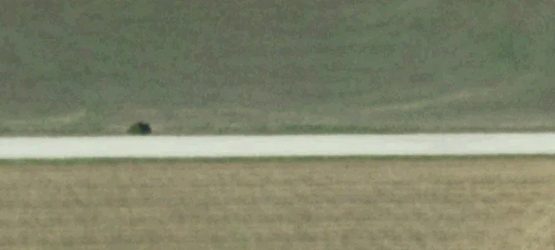 Level Agricultural Land Tract