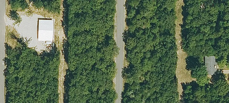 Wooded Vacant Land Parcel
