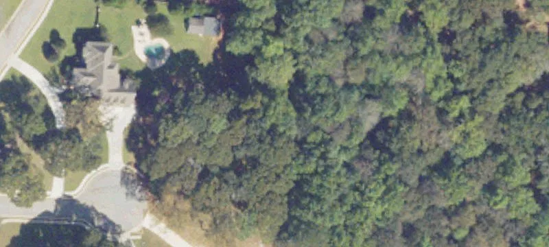 Wooded Residential Homesite Lot