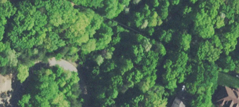Wooded Residential Building Lot