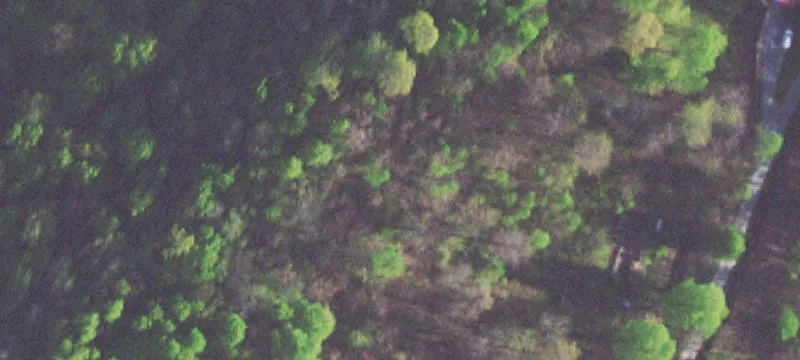 Off-Grid Recreational Acreage