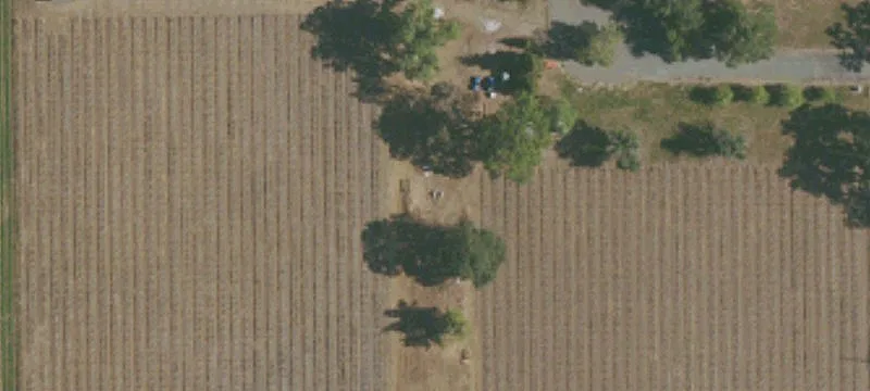 Vineyard and Winery Property