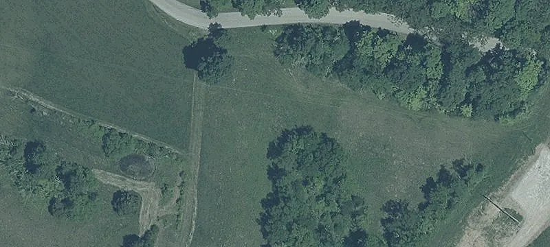 Timbered Land with Pond Area