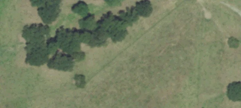 Timber and Hunting Land Tract