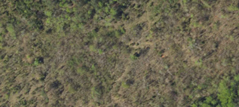Wooded Timber Tract for Recreation
