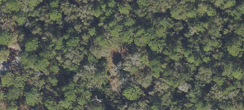 Residential Agricultural Land Lot
