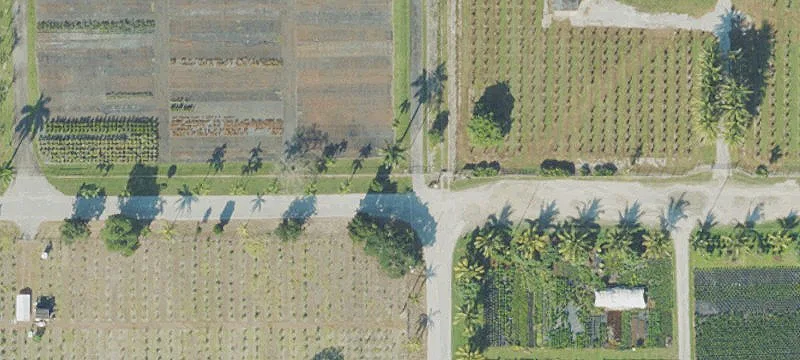 Fenced Nursery Land With Irrigation