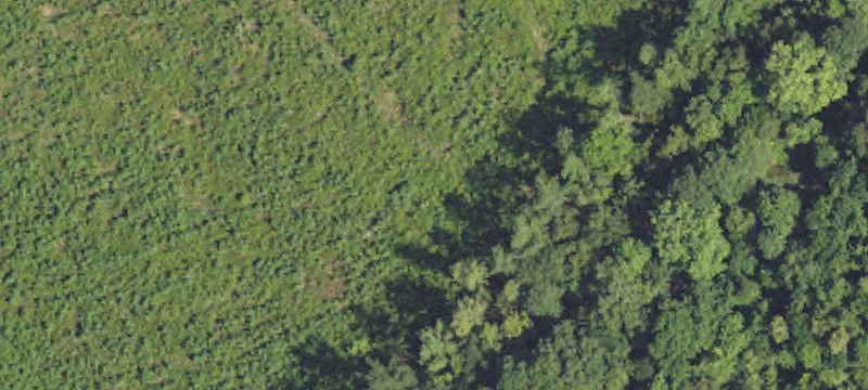 Recreational Hunting Land