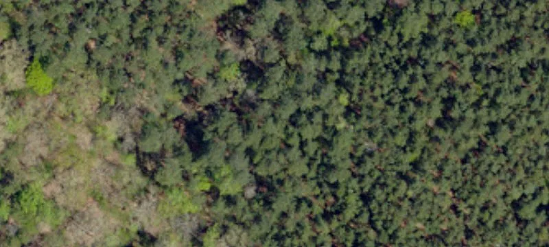 Recreational Hunting Land with Home