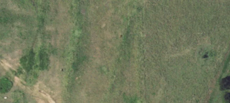 Recreational Ranch with Ponds and Timber