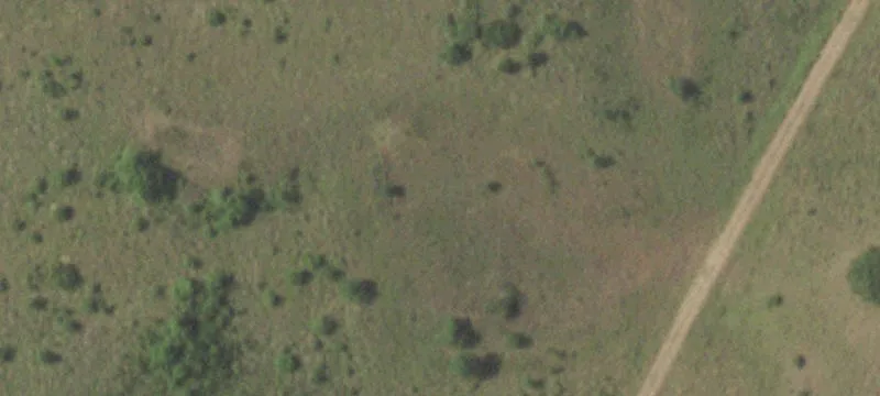 Ranch Land with Live Creek