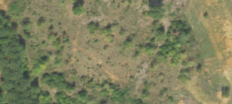 Wooded Hunting Land Tract