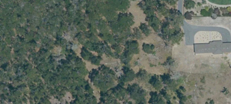 Mature-Tree Coastal Buildable Lot