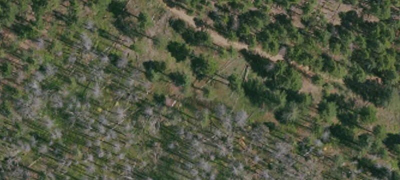 Two-Parcel Off-Grid Acreage Opportunity
