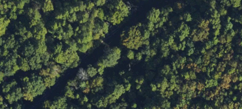 Wooded Residential Home Lot