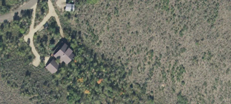 Mountain Homesite with Driveway