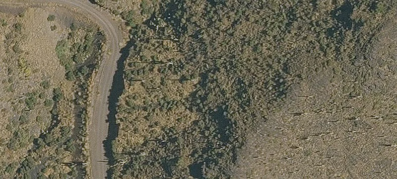 Gated Specialty Property Off Dirt Road