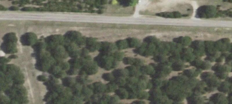 Cleared Farmland Tract for Horses
